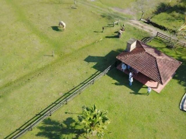 Sítio e chácara venda em Região Geográfica Imediata de Porto Alegre, Região Metropolitana de Porto Alegre