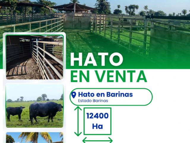 Finca en venta en Barinas
