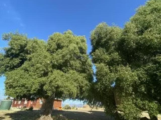 Casa en venta en Pumanque, Libertador General Bernardo O'higgins