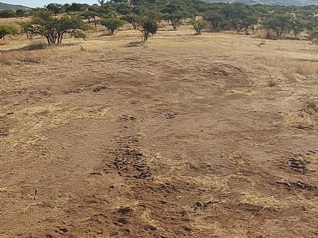 VENDO HERMOSA PARCELA EN FUNDO LOS SAUCES