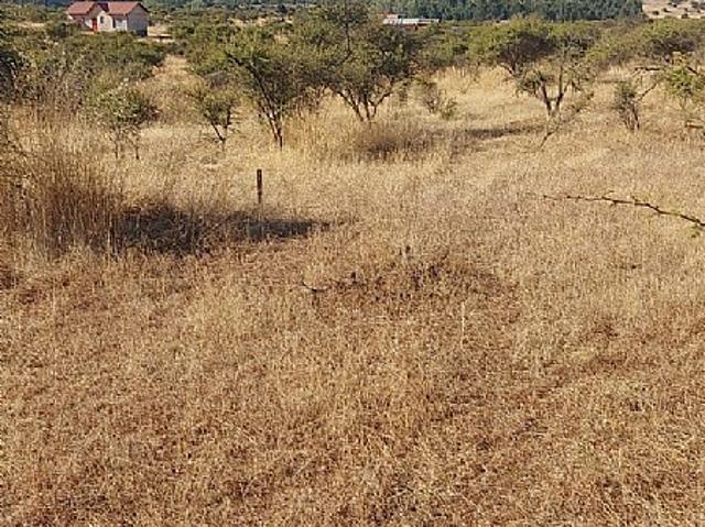 VENDO HERMOSA PARCELA EN FUNDO LOS SAUCES