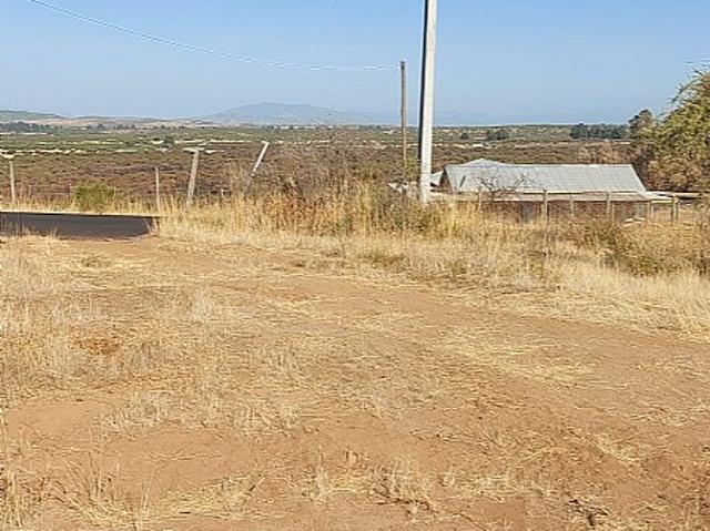 VENDO HERMOSA PARCELA EN FUNDO LOS SAUCES