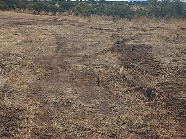 VENDO HERMOSA PARCELA EN FUNDO LOS SAUCES