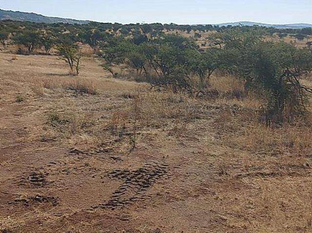 VENDO HERMOSA PARCELA EN FUNDO LOS SAUCES