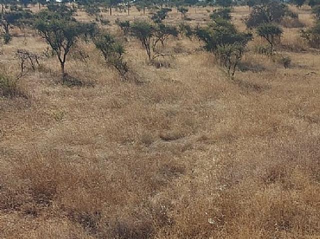 VENDO HERMOSA PARCELA EN FUNDO LOS SAUCES