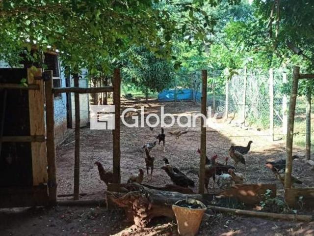 Sítio e chácara venda em Montes Claros, Região Geográfica Intermediária de Montes Claros