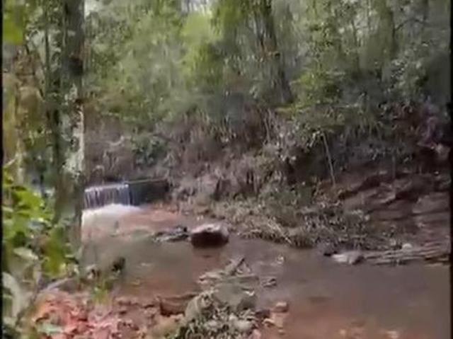 Sítio e chácara venda em Região Geográfica Imediata do Distrito Federal, Região Integrada de Desenvolvimento do Distrito Federal e Entorno