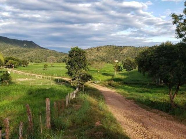 Sítio e chácara venda em Região Geográfica Imediata de Uruaçu - Niquelândia, Niquelândia