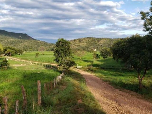 Sítio e chácara venda em Região Geográfica Imediata de Uruaçu - Niquelândia, Niquelândia