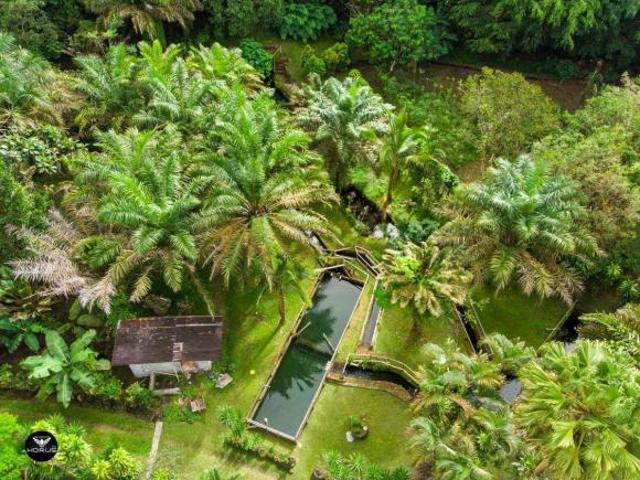 Vendo Linda finca en Cuesta de Piedra Volcan Chiriqui