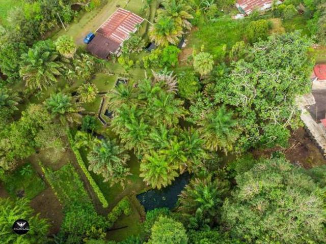 Vendo Linda finca en Cuesta de Piedra Volcan Chiriqui