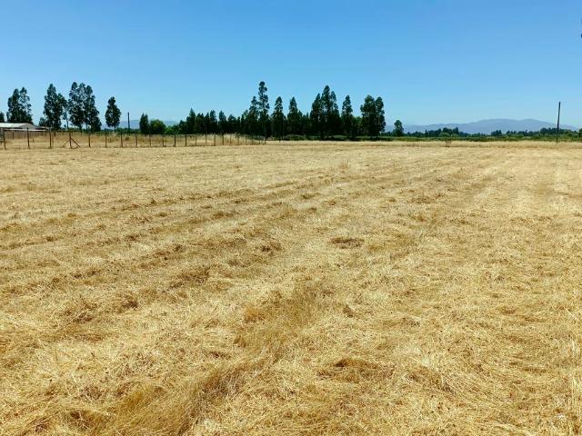 VENDO linda parcela, Peralillo, Colchagua