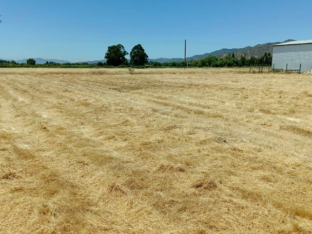 VENDO linda parcela, Peralillo, Colchagua