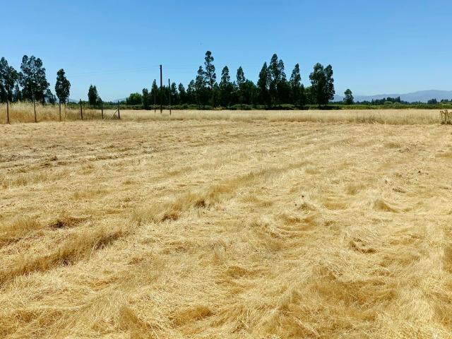 VENDO linda parcela, Peralillo, Colchagua