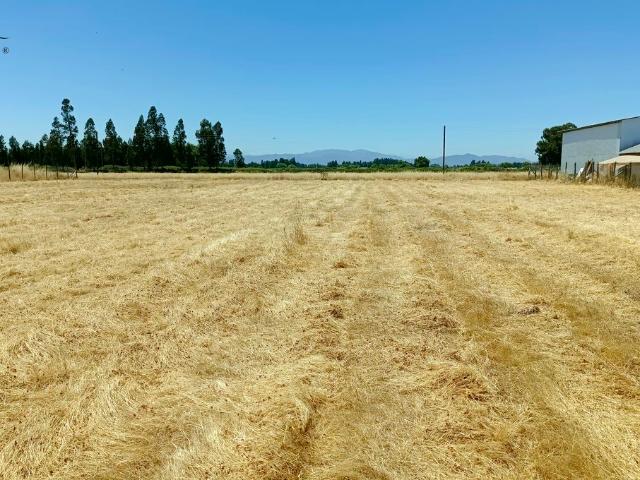 VENDO linda parcela, Peralillo, Colchagua