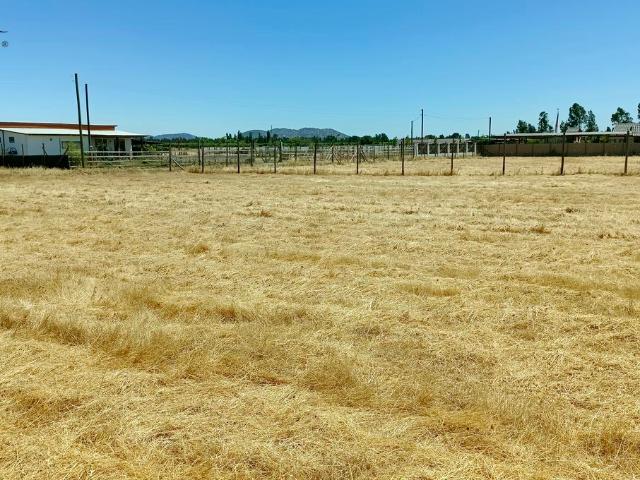 VENDO linda parcela, Peralillo, Colchagua