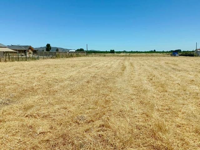 VENDO linda parcela, Peralillo, Colchagua