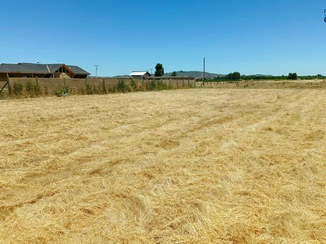 VENDO linda parcela, Peralillo, Colchagua