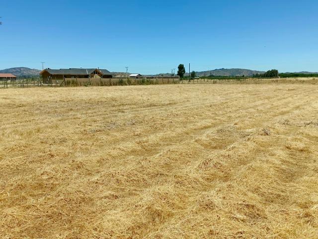 VENDO linda parcela, Peralillo, Colchagua