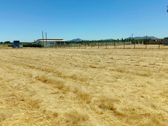 VENDO linda parcela, Peralillo, Colchagua