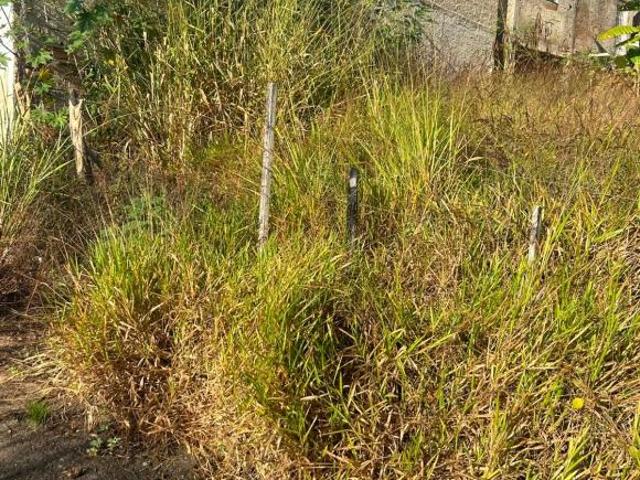 Terreno venda em Regional Nordeste, Belo Horizonte