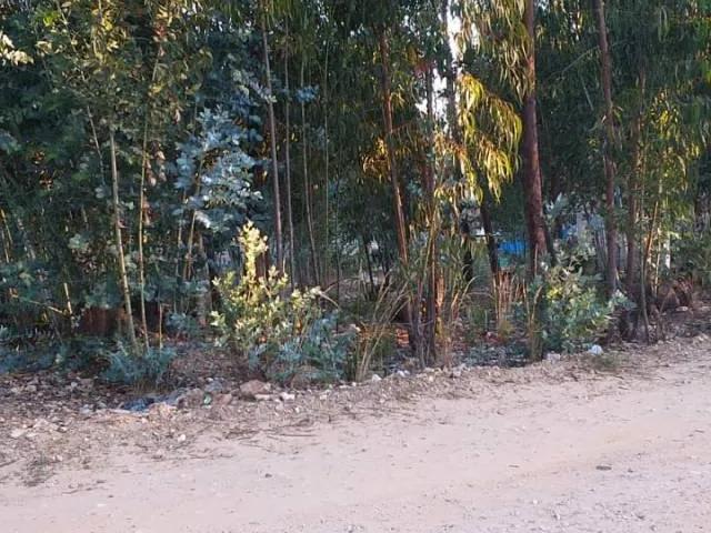 Departamento venta en Cajamarca