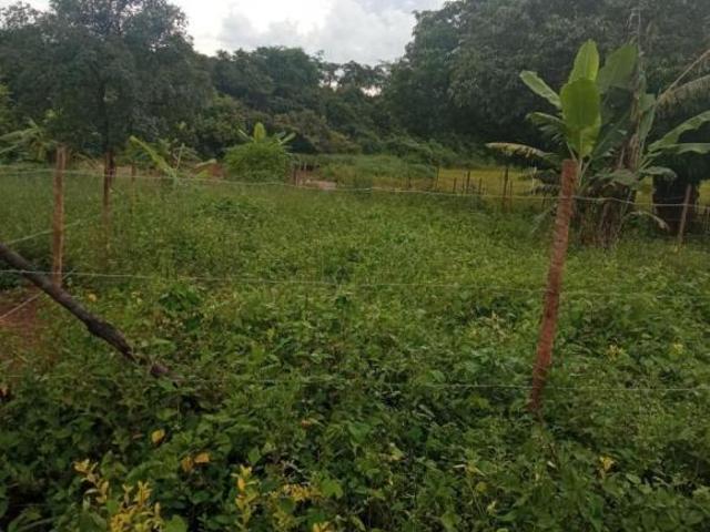 Terreno venda em Região Geográfica Imediata do Distrito Federal, Região Integrada de Desenvolvimento do Distrito Federal e Entorno