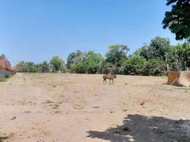 Terreno venta en Chincha Alta, Ica