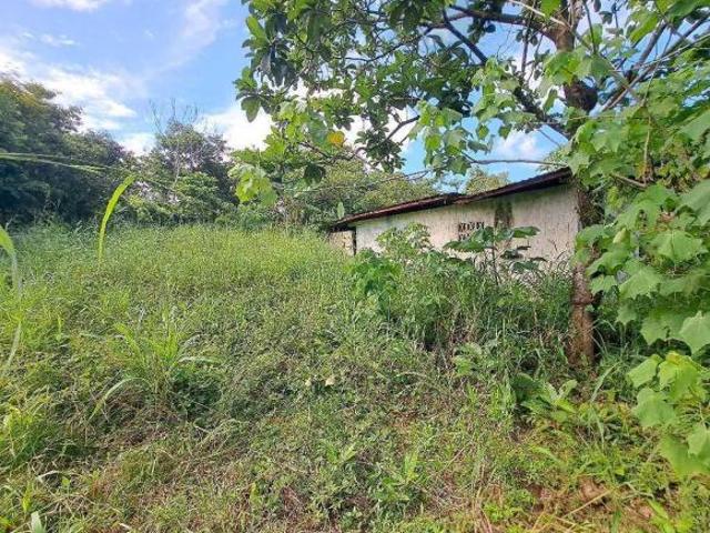 VENDO LOTE EN DERECHO POSESORIO DE 2300M2 SAN JUAN