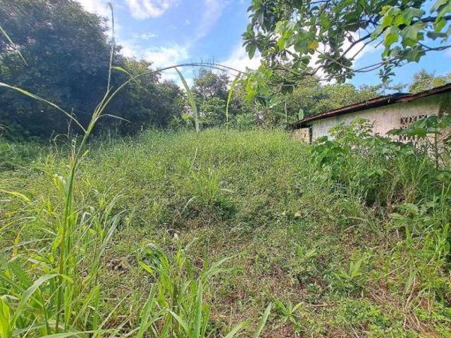 VENDO LOTE EN DERECHO POSESORIO DE 2300M2 SAN JUAN