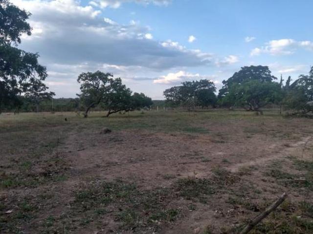 Terreno venda em Região Geográfica Imediata de Luziânia, Região Integrada de Desenvolvimento do Distrito Federal e Entorno