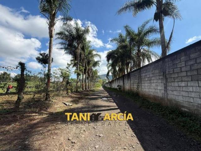Terreno en venta en Fortín, Veracruz