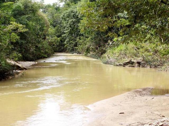 Sítio e chácara venda em Região Geográfica Imediata de Águas Lindas de Goiás, Região Integrada de Desenvolvimento do Distrito Federal e Entorno