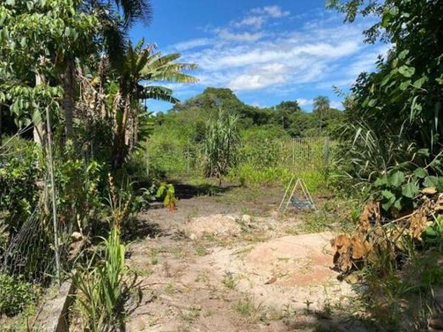 Terreno venda em Park Way Quadra 17, Park Way