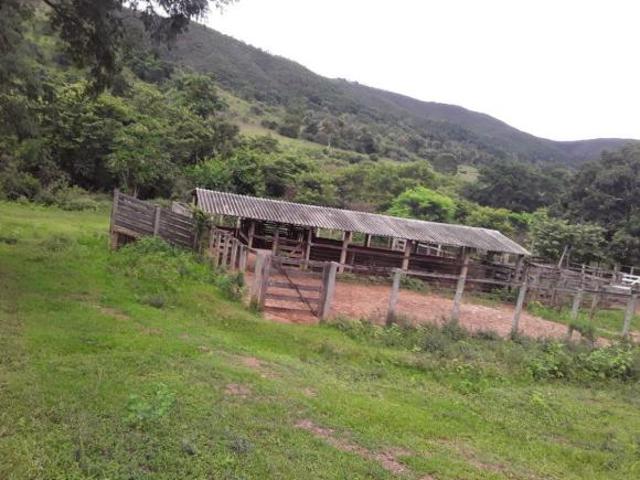 Sítio e chácara venda em Região Geográfica Imediata de Águas Lindas de Goiás, Região Integrada de Desenvolvimento do Distrito Federal e Entorno