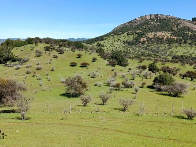 VENDO parcela con casa, Santa Cruz