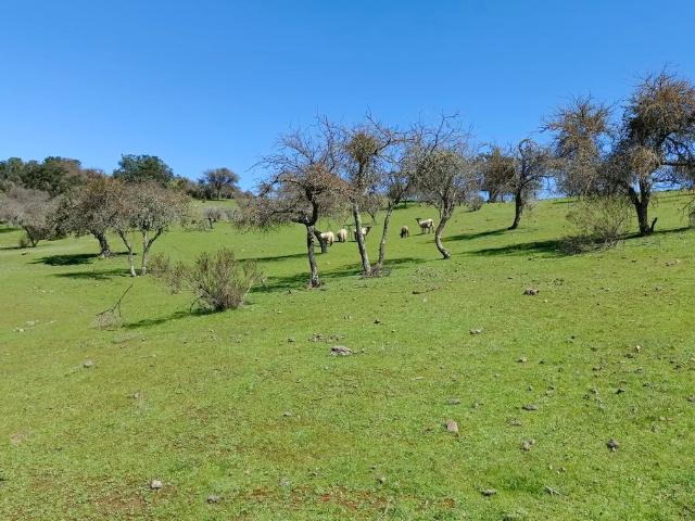 VENDO parcela con casa, Santa Cruz