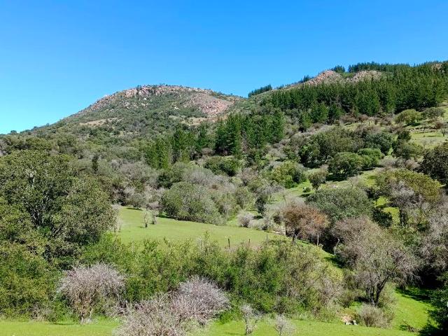 VENDO parcela con casa, Santa Cruz