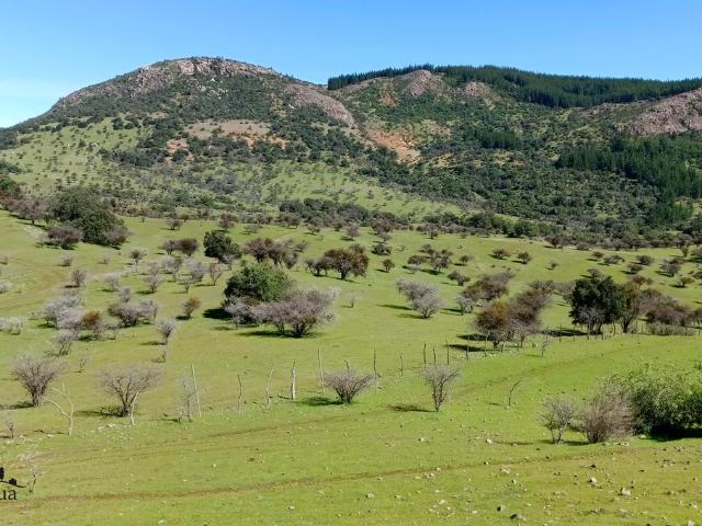 VENDO parcela con casa, Santa Cruz