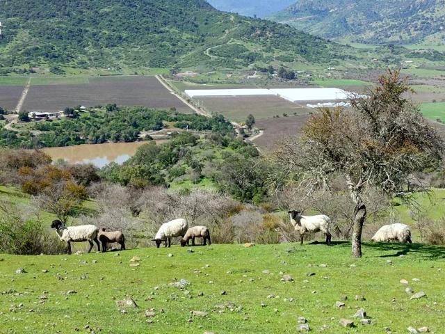 VENDO parcela con casa, Santa Cruz