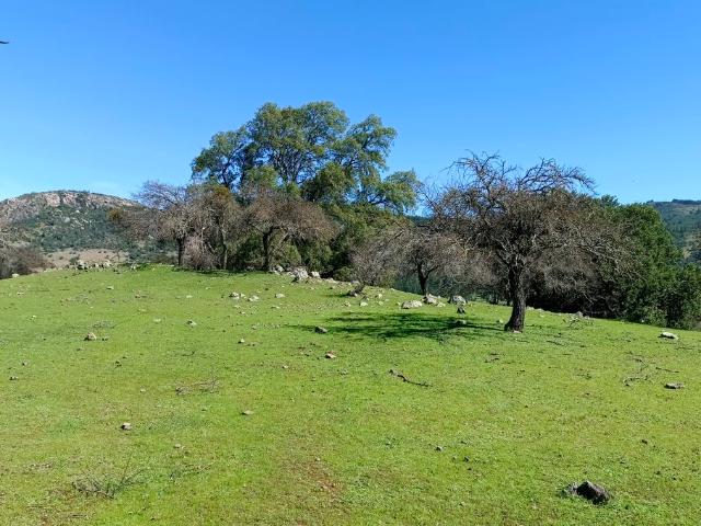 VENDO parcela con casa, Santa Cruz