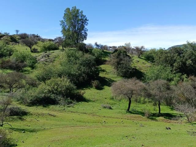 VENDO parcela con casa, Santa Cruz