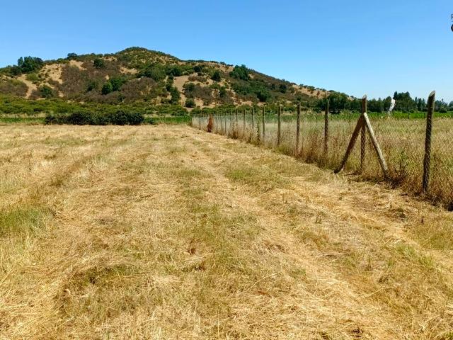 VENDO parcela con pozo y árboles, Palmilla