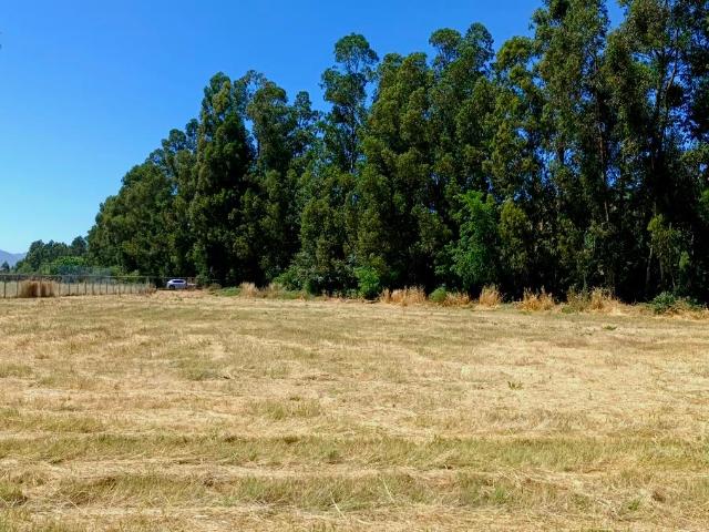 VENDO parcela con pozo y árboles, Palmilla