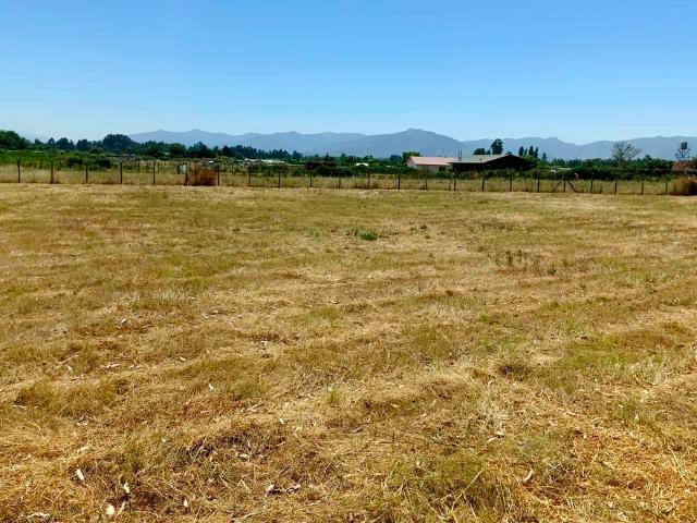 VENDO parcela con pozo y árboles, Palmilla