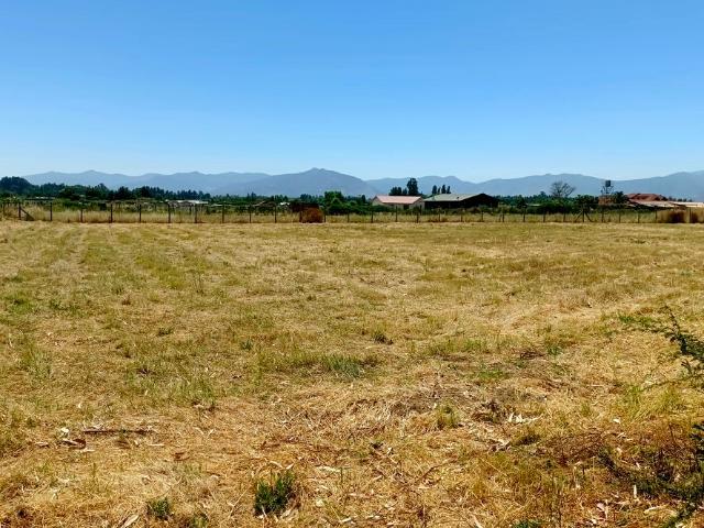 VENDO parcela con pozo y árboles, Palmilla