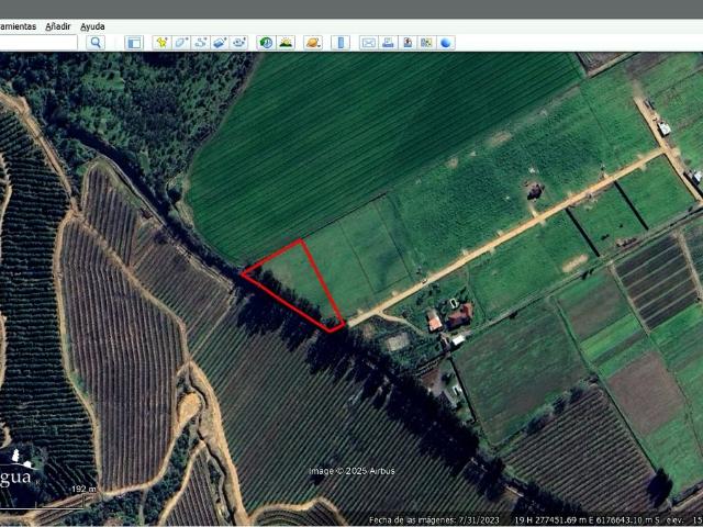 VENDO parcela con pozo y árboles, Palmilla