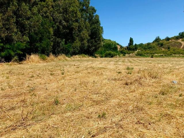 VENDO parcela con pozo y árboles, Palmilla