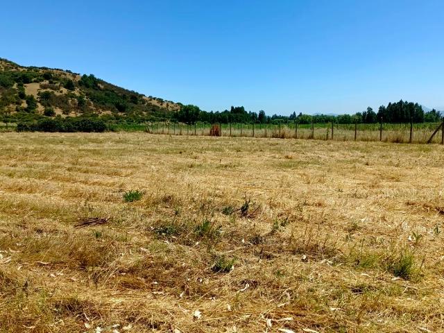 VENDO parcela con pozo y árboles, Palmilla