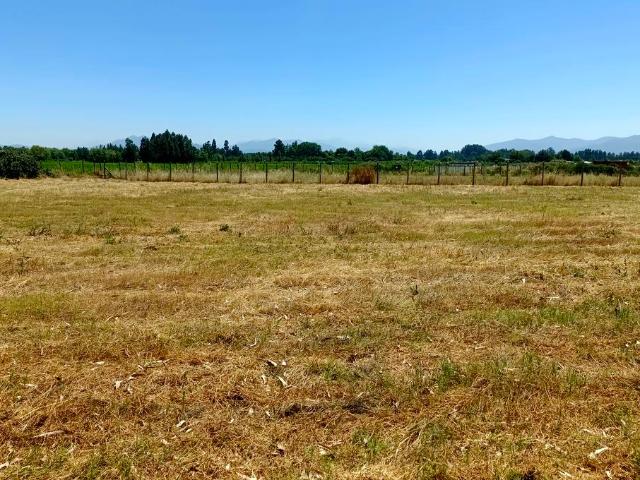 VENDO parcela con pozo y árboles, Palmilla